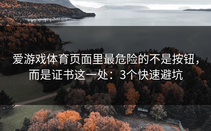爱游戏体育页面里最危险的不是按钮，而是证书这一处：3个快速避坑