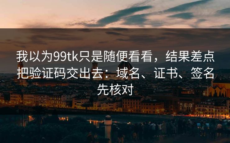 我以为99tk只是随便看看，结果差点把验证码交出去：域名、证书、签名先核对