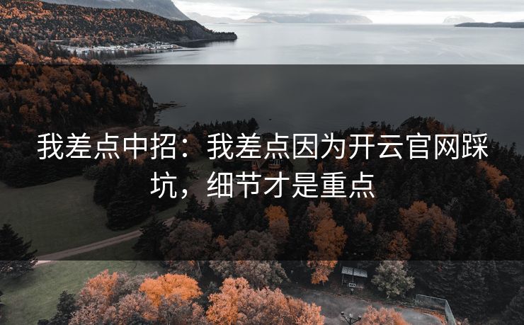 我差点中招：我差点因为开云官网踩坑，细节才是重点